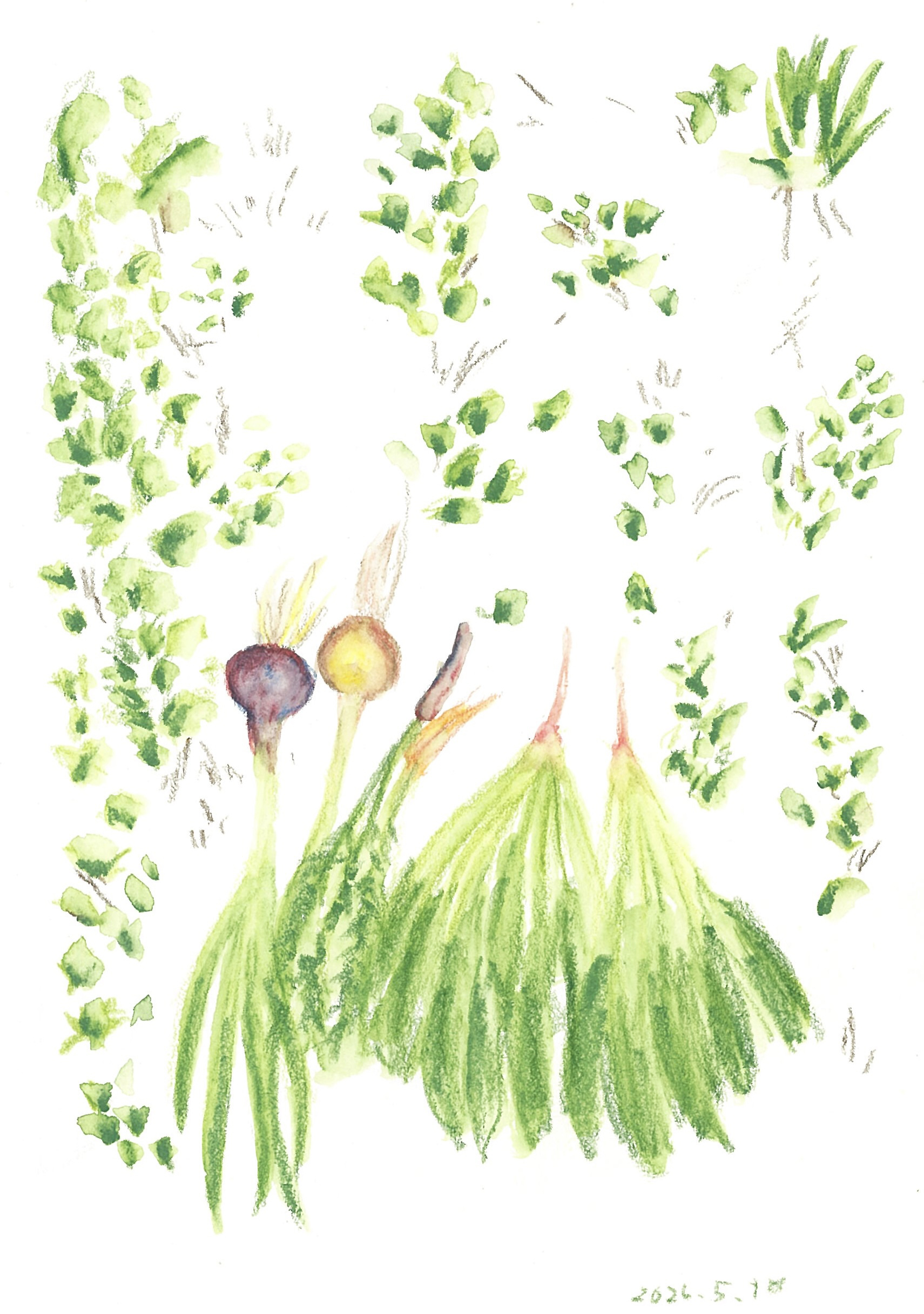 drawing
